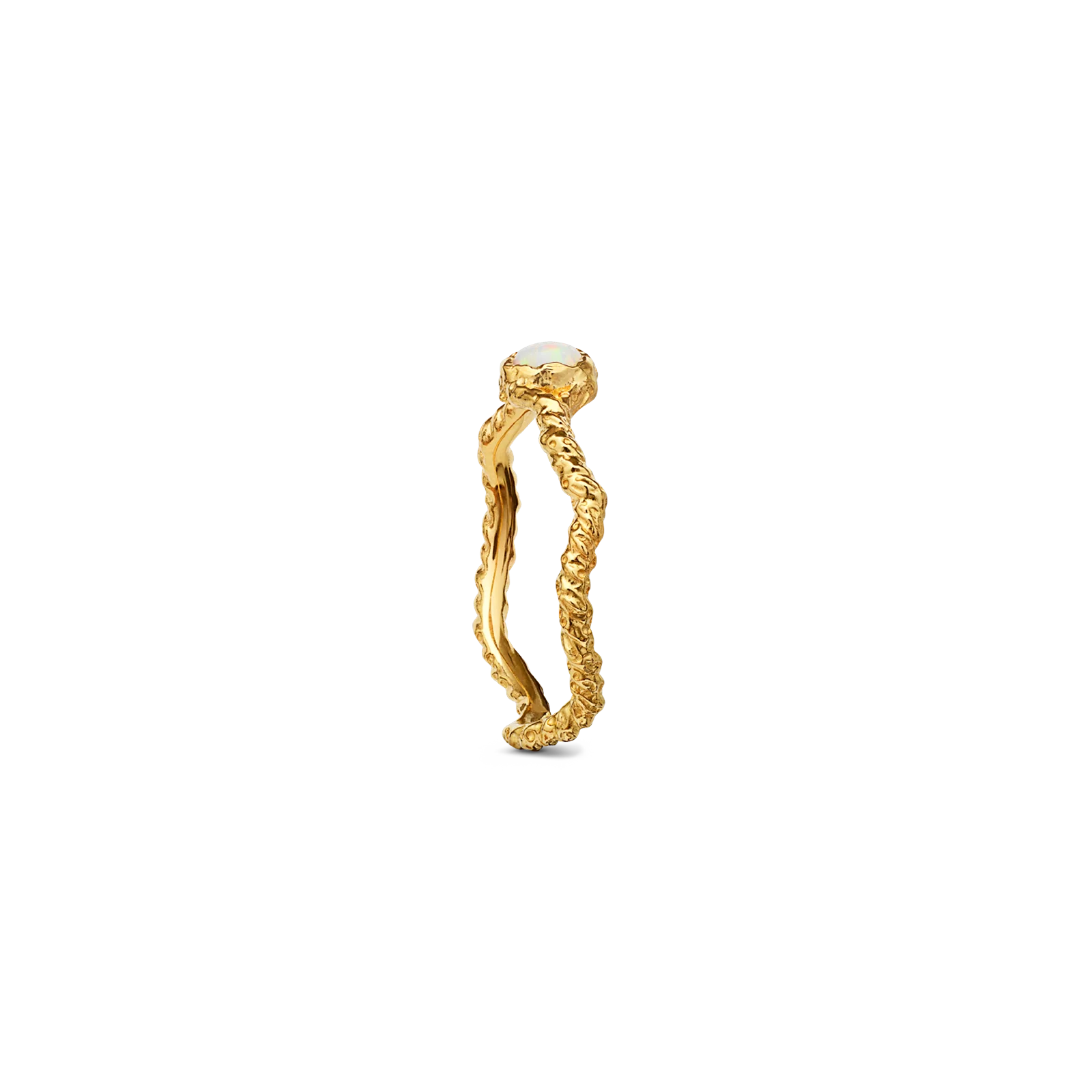 Lisa Ring - Image 3