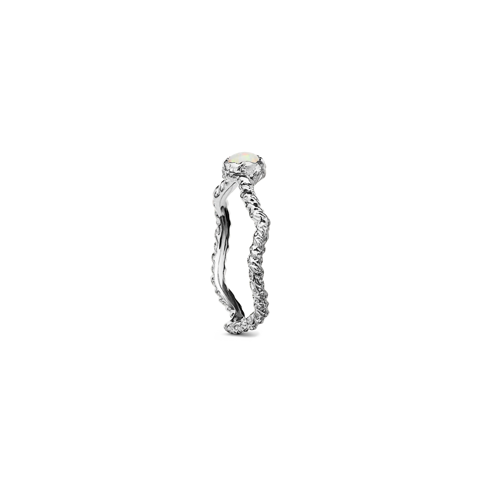 Lisa Ring - Image 3