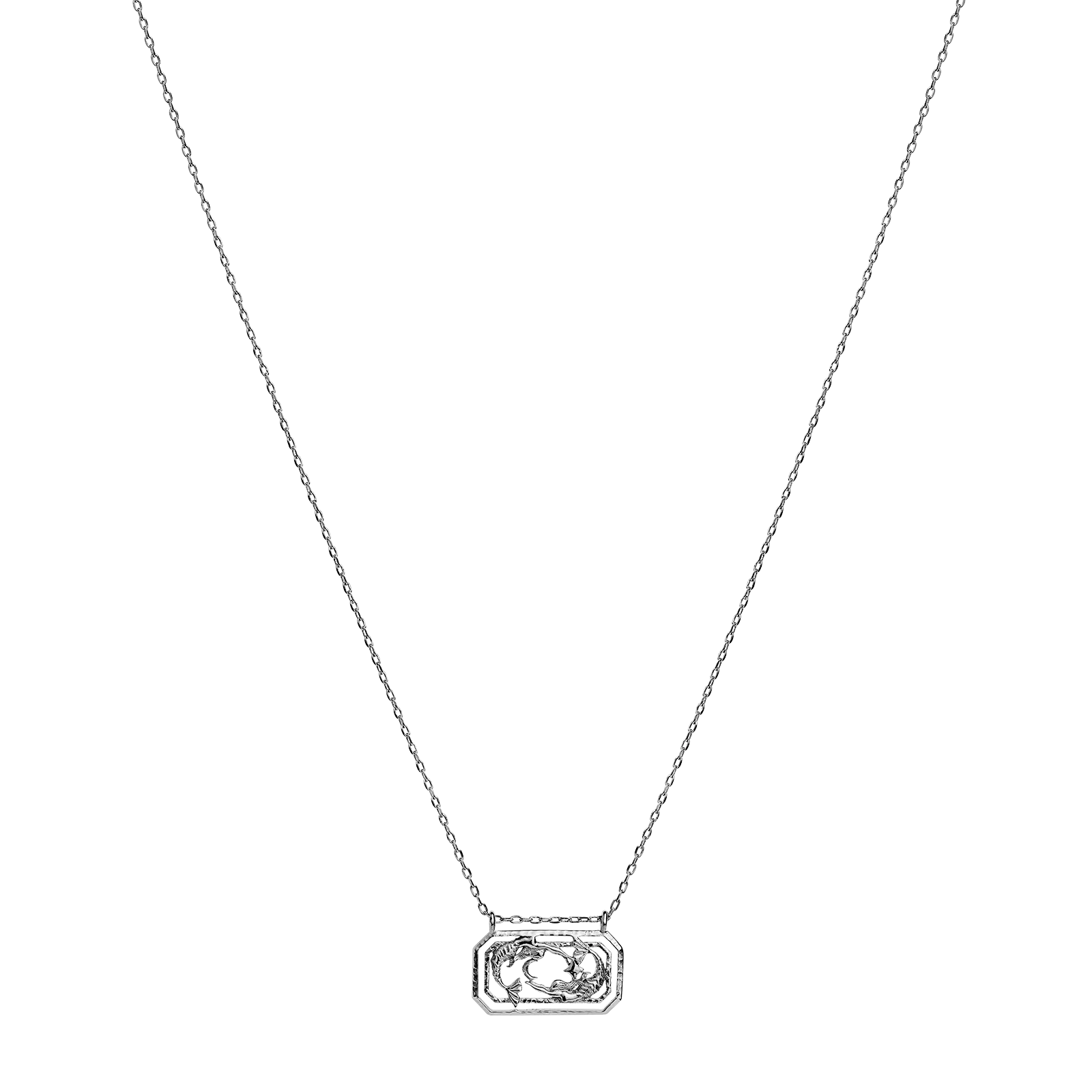 Zodiac Pisces Necklace 19. Feb - 20. Mar - Image 3